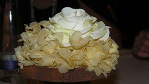tn_300P1080101