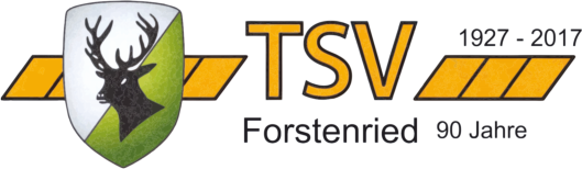 TSV Logo 90Jc